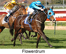 Flowerdrum (14772 bytes)