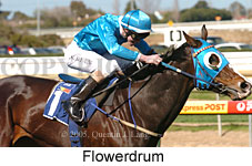 Flowerdrum (14772 bytes)