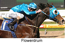 Flowerdrum (14772 bytes)