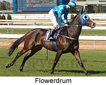 Flowerdrum (14772 bytes)