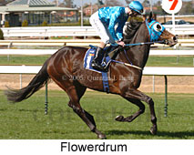 Flowerdrum (14772 bytes)