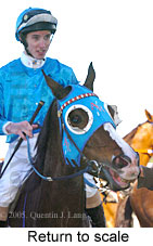 Return to scale (14008 bytes)