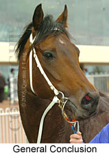 General Conclusion (14772 bytes)