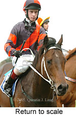 Return to scale (14008 bytes)