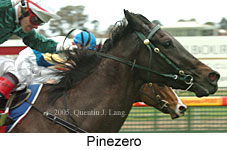 Pinezero (14772 bytes)