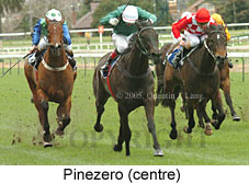 Pinezero (14772 bytes)