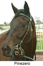 Pinezero (14772 bytes)