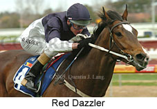 Red Dazzler (15213 bytes)