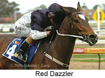 Red Dazzler (14772 bytes)