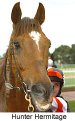 Hunter Hermitage (14772 bytes)