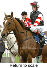 Return to scale (14008 bytes)