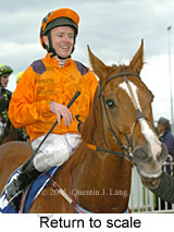 Return to scale (14008 bytes)