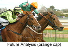 Future Analysis (14772 bytes)