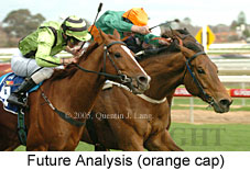 Future Analysis (14772 bytes)