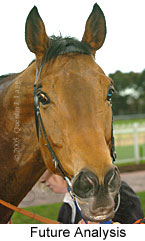 Future Analysis (14772 bytes)