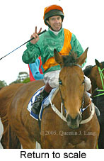 Return to scale (14008 bytes)