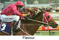 r10flavour.jpg (15445 bytes)