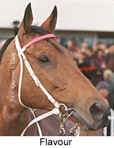 r10flavour2.jpg (12100 bytes)