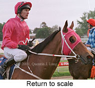 r10rtosc.jpg (13587 bytes)