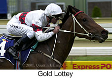 r1goldlottey.jpg (14454 bytes)