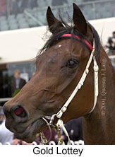 r1goldlottey2.jpg (12184 bytes)