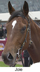 r2joie2.jpg (9838 bytes)