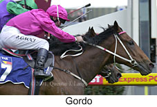 r4gordo.jpg (15265 bytes)