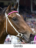 r4gordo2.jpg (11461 bytes)