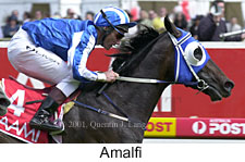 r5amalfi.jpg (15959 bytes)