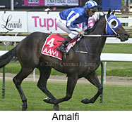 r5amalfi2.jpg (14585 bytes)