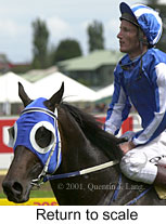 r5rtosc.jpg (13330 bytes)