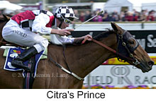 r6citrasprince.jpg (14232 bytes)