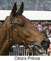 r6citrasprince2.jpg (12202 bytes)