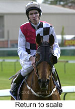 r6rtosc.jpg (12009 bytes)