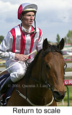 r7rtosc.jpg (12312 bytes)