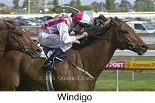 r7windigo.jpg (13932 bytes)