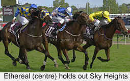 r8ccup.jpg (19839 bytes)