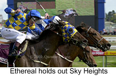 r8ccup2.jpg (16199 bytes)