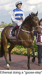 r8ethereal.jpg (15395 bytes)