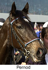 r9pernod2.jpg (13104 bytes)