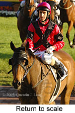 Return to scale (16492 bytes)