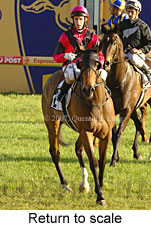 Return to scale (16492 bytes)