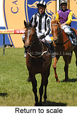 Return to scale (16492 bytes)