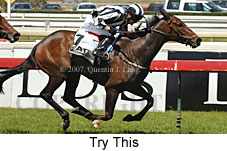 Try This (16193 bytes)