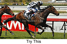 Try This (16193 bytes)