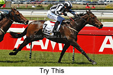 Try This (16193 bytes)