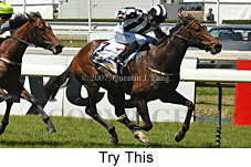 Try This (16193 bytes)