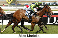 Miss Marielle (16193 bytes)