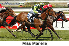 Miss Marielle (16193 bytes)