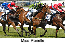 Miss Marielle (16193 bytes)